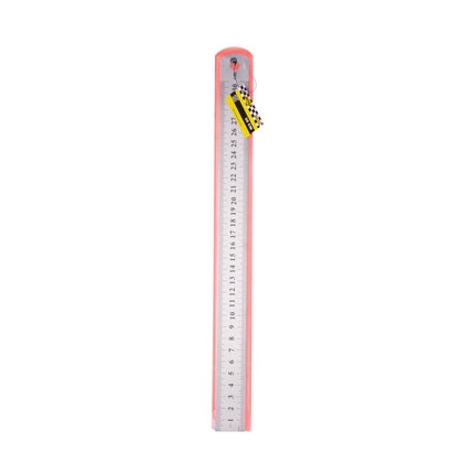 Liniaal 30 cm RVS - Ideaal voor Nauwkeurig Meten en Snijden