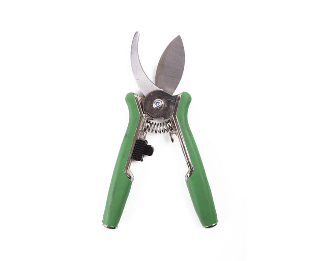 Snoeischaar 15 cm Krom Chi - Perfect voor Bloemen, Max 18mm Snoei.