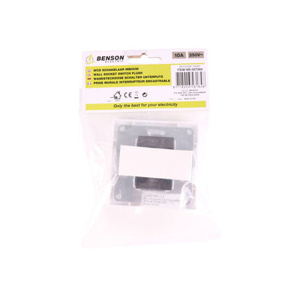 Witte Inbouwschakelaar, 250V, 10A, 81x81mm, voor Woonkamers/Onderhoud