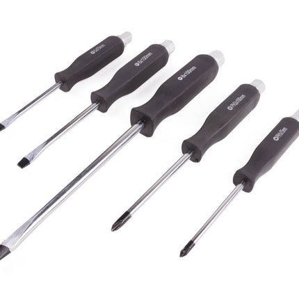 5-delige Profi Schroevendraaier Set, Roestvrij Staal, Magnetische Tips
