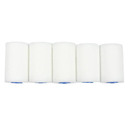 Lakroller Set 5,5 cm Foam - 5 Stuks voor Verf op Water/Terpentinebasis