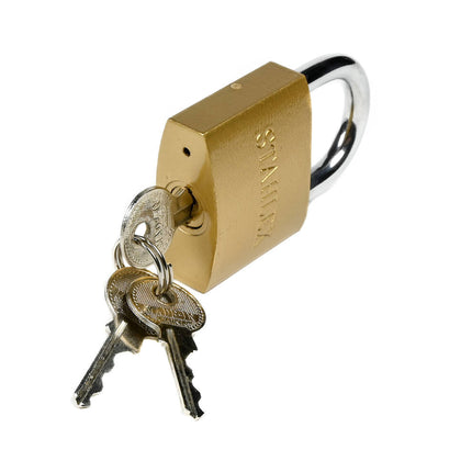 Hangslot 50mm Staal, Weerbestendig, Inclusief 3 Sleutels voor Buiten.