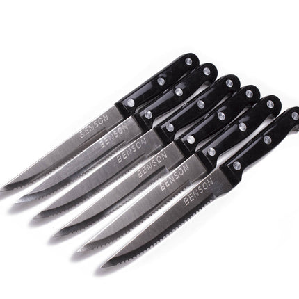 Steakmessen Set 6 dlg - 21,5cm RVS, Perfect voor Steak en Vleesgerechten