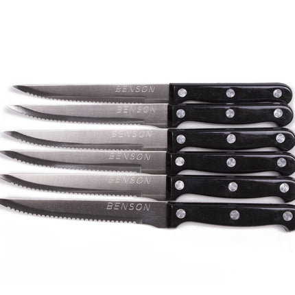 Steakmessen Set 6 dlg - 21,5cm RVS, Perfect voor Steak en Vleesgerechten