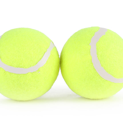 Tennisballen 2 dlg – Voor recreatief gebruik, training en spel
