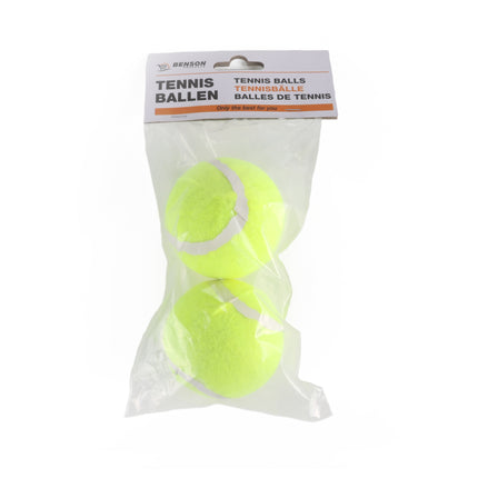 Tennisballen 2 dlg – Voor recreatief gebruik, training en spel