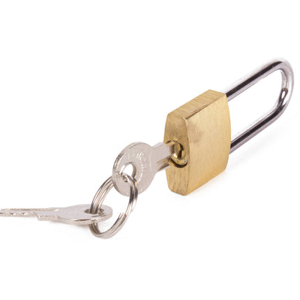 Hangslot 20mm Staal - Voor Kluisjes & Kasten, Incl. 2 Sleutels