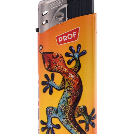 Aansteker lizard