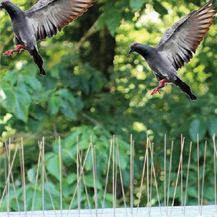 Vogelpinnen 10 dlg - Beschermt tegen vogels en indringers, 165 cm.