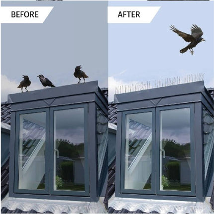 Vogelpinnen 10 dlg - Beschermt tegen vogels en indringers, 165 cm.