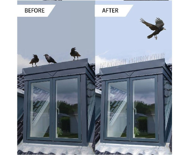 Vogelpinnen 10 dlg - Beschermt tegen vogels en indringers, 165 cm.