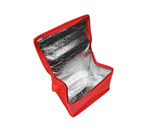 Koeltas 4L: 20x14x14cm, ideaal voor picknick en stranduitjes.
