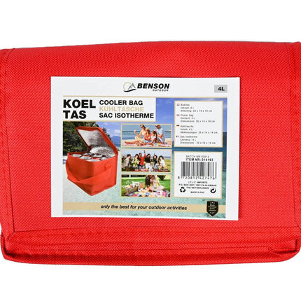 Koeltas 4L: 20x14x14cm, ideaal voor picknick en stranduitjes.