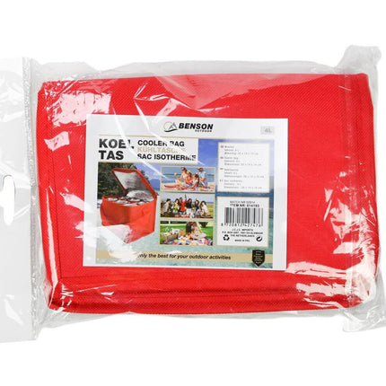 Koeltas 4L: 20x14x14cm, ideaal voor picknick en stranduitjes.