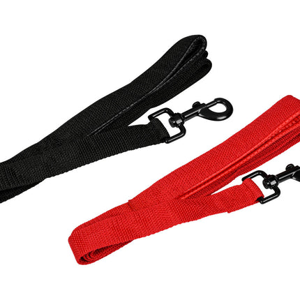 Hondenriem 25mm x 200cm, Nylon, Neopreen Handvat, Wandelen