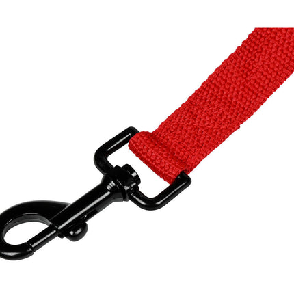 Hondenriem 25mm x 200cm, Nylon, Neopreen Handvat, Wandelen
