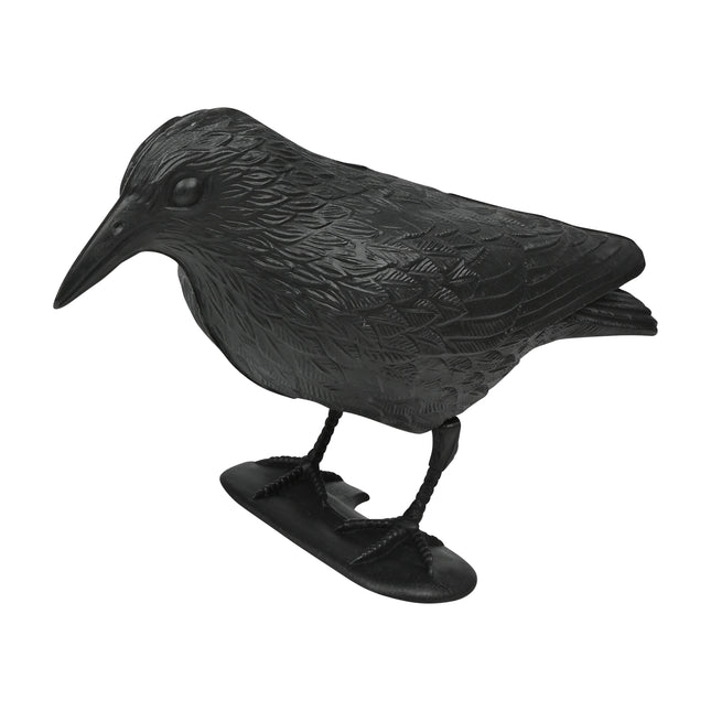 Vogelverschrikker kraai – Afmeting circa 35 cm, 35 cm