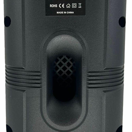Bluetooth speaker N-Gear LGP24C